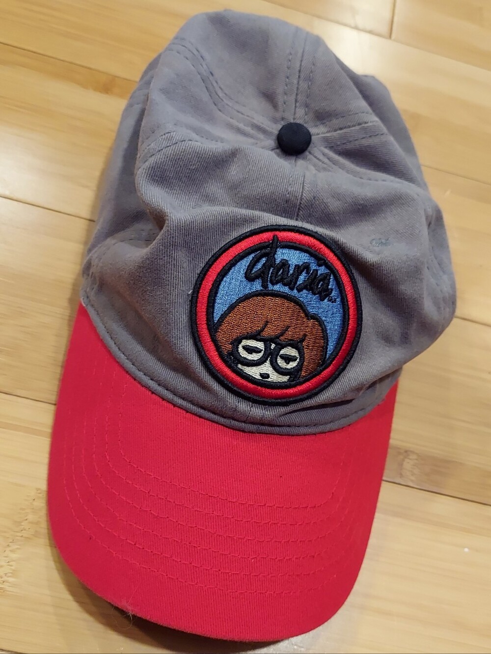 Daria Logo Gray & Red Dad Hat MTV